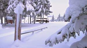 Canada-Moving-Snowshoe