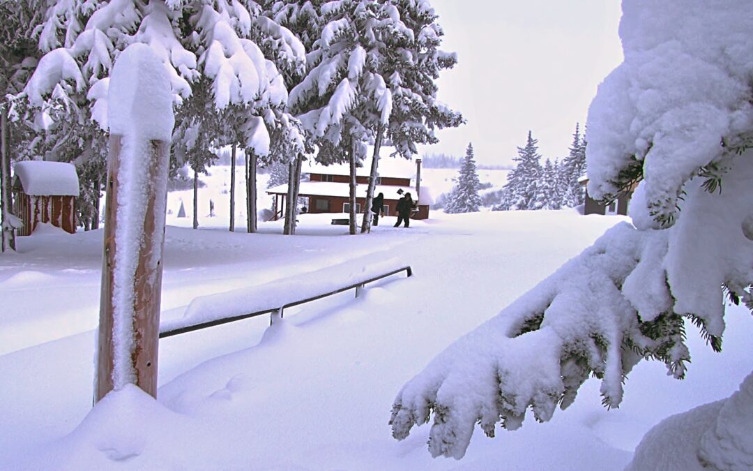 Canada-Moving-Snowshoe
